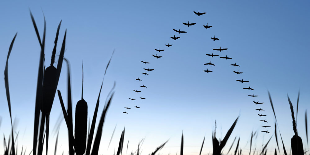 Getting-in-alignment-Why-investors-need-to-pay-attention-to-executive-compensation.jpg